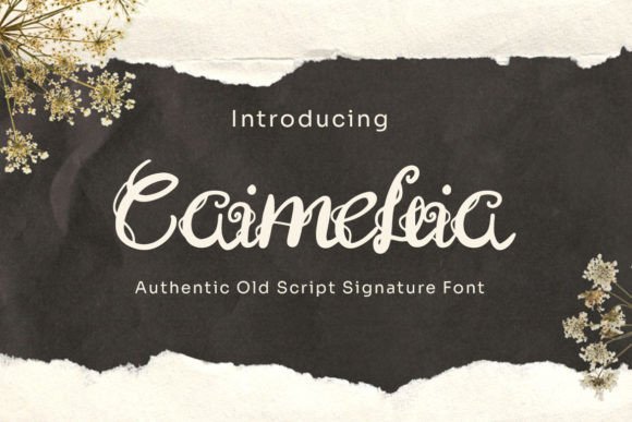 Caimellia Font: Elegant Script for Small Business Branding