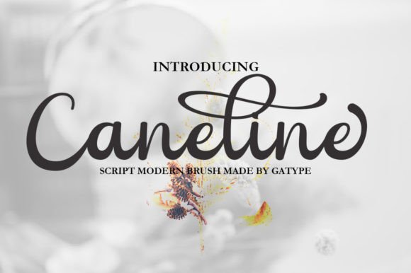 Caneline: A Handwritten Font with Editorial Charm