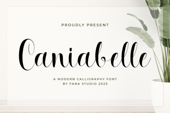 Caniabelle Script Font: Elegant Touch for Your Handmade Products
