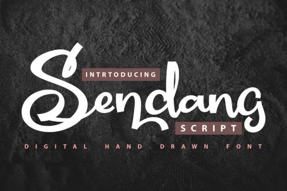 Why Sendang Font Works for Real Branding Projects